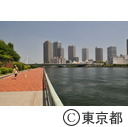 隅田川テラス（築地明石町）