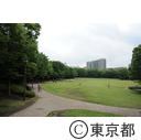 多摩中央公園