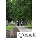 多摩中央公園