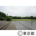 多摩中央公園