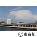 東京スカイツリーと入道雲