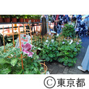 入谷朝顔まつり