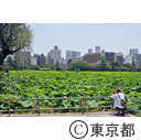 不忍池