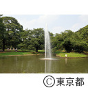 代々木公園