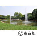 代々木公園