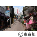 渋谷駅周辺