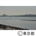 多摩川下流
