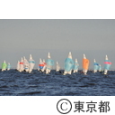 第68回国民体育大会 スポーツ祭東京セーリング