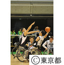 第13回全国障害者スポーツ大会 スポーツ祭東京2013 車椅子バスケット