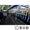 平成25年度東京都観光菊花大会
