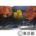 御岳渓谷