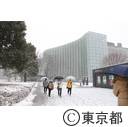 大雪の六本木