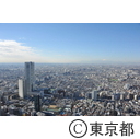 都庁舎屋上からの風景