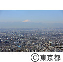 都庁舎屋上からの風景
