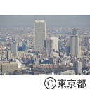 都庁舎屋上からの風景
