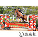 スポーツ祭東京（馬術）
