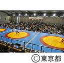 スポーツ祭東京（レスリング）