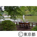 井の頭公園（思い出ベンチ）