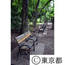 井の頭公園（思い出ベンチ）
