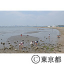 葛西海浜公園