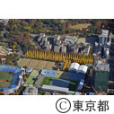 神宮外苑並木道（空撮）