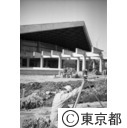 建設が進む駒沢オリンピック公園