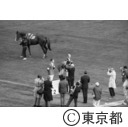 東京オリンピック 馬術表彰式（障害飛越競技）
