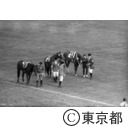 東京オリンピック 馬術表彰式（障害飛越競技）