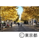 光が丘公園