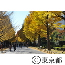 光が丘公園