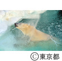 上野恩賜公園