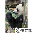 上野恩賜公園