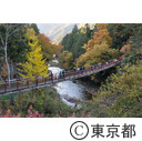 秋川渓谷