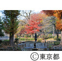 井の頭恩賜公園