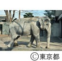 井の頭自然文化園