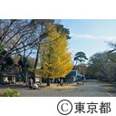 井の頭自然文化園