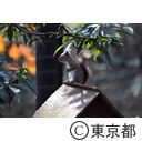 井の頭自然文化園