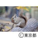 井の頭自然文化園