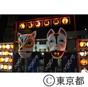 狐の行列