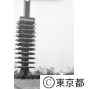 駒沢オリンピック公園スナップ