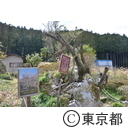 青梅市周辺