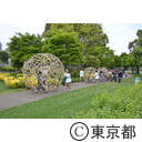 六本木アートナイト2014