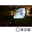 六本木アートナイト2014
