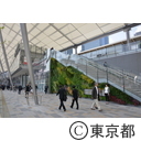 東京駅八重洲口