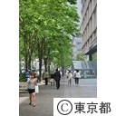 丸の内仲通り