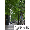 丸の内仲通り