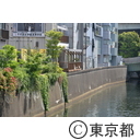 知事視察 日本橋川「かわてらす」視察