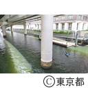 日本橋