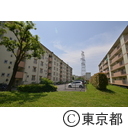 UR都市機構 町田ヤギ除草実験