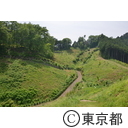 知事視察 （梅の公園・吉野梅郷）
